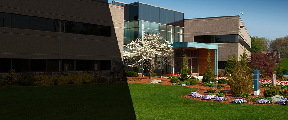 Livingston Landscapers