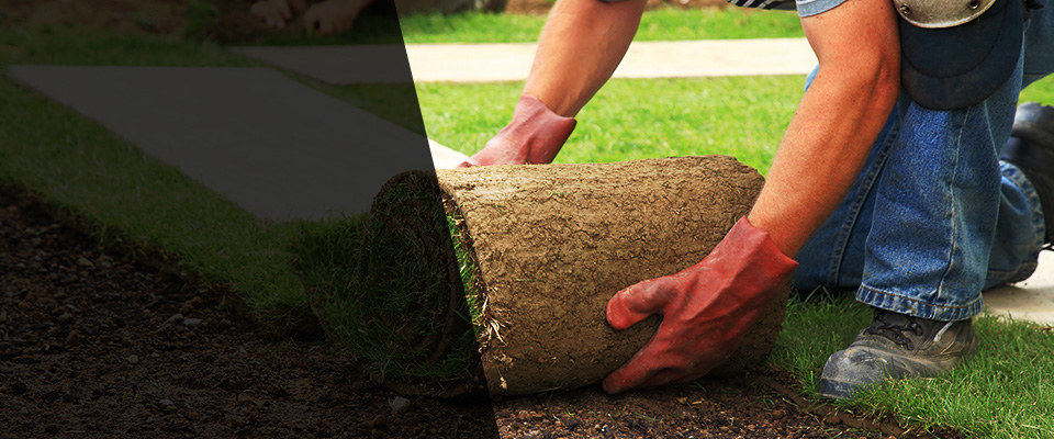 Livingston Landscapers